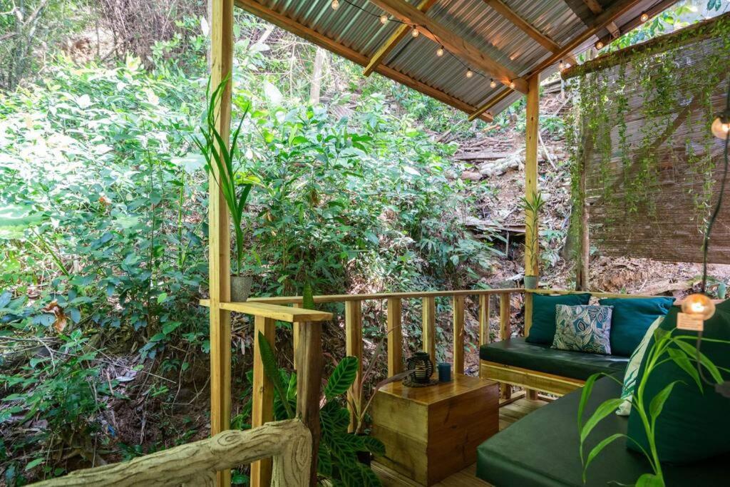 Jungle View Studio With Terrace 爱妮岛 外观 照片